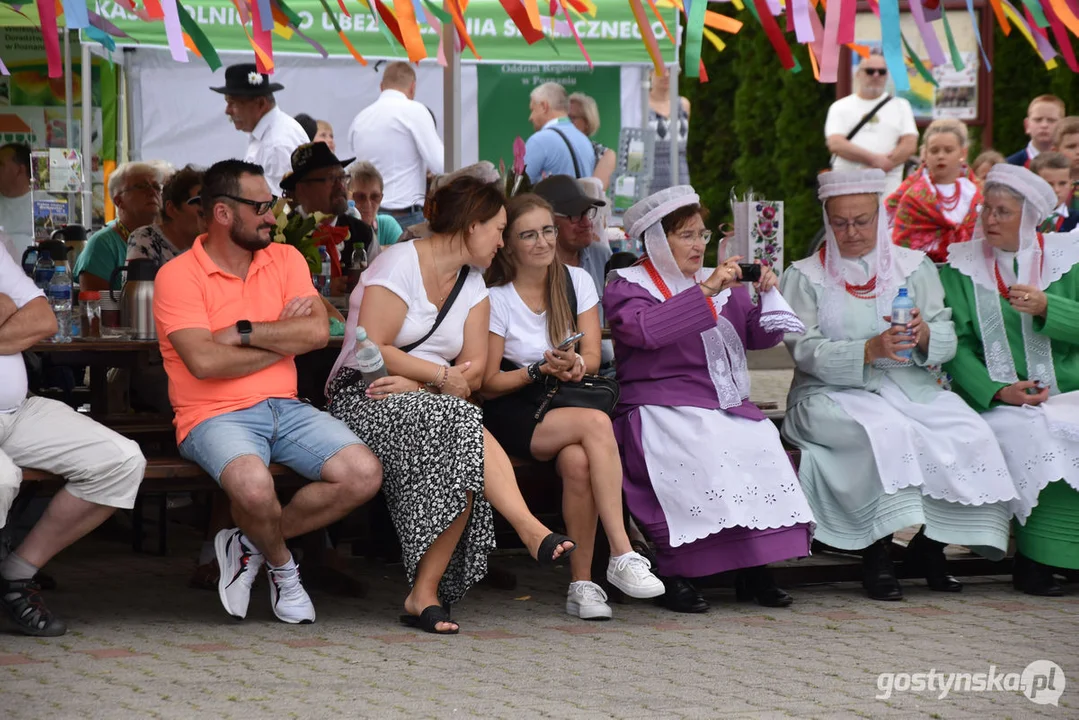 18. Prezentacje Zespołów Ludowych Wielkopolski w Borku Wlkp.