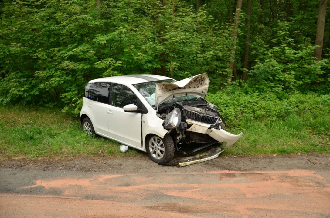 Samochód osobowy uderzył w drzewo w Siedmiorogowie Pierwszym (gm. Borek Wlkp.)