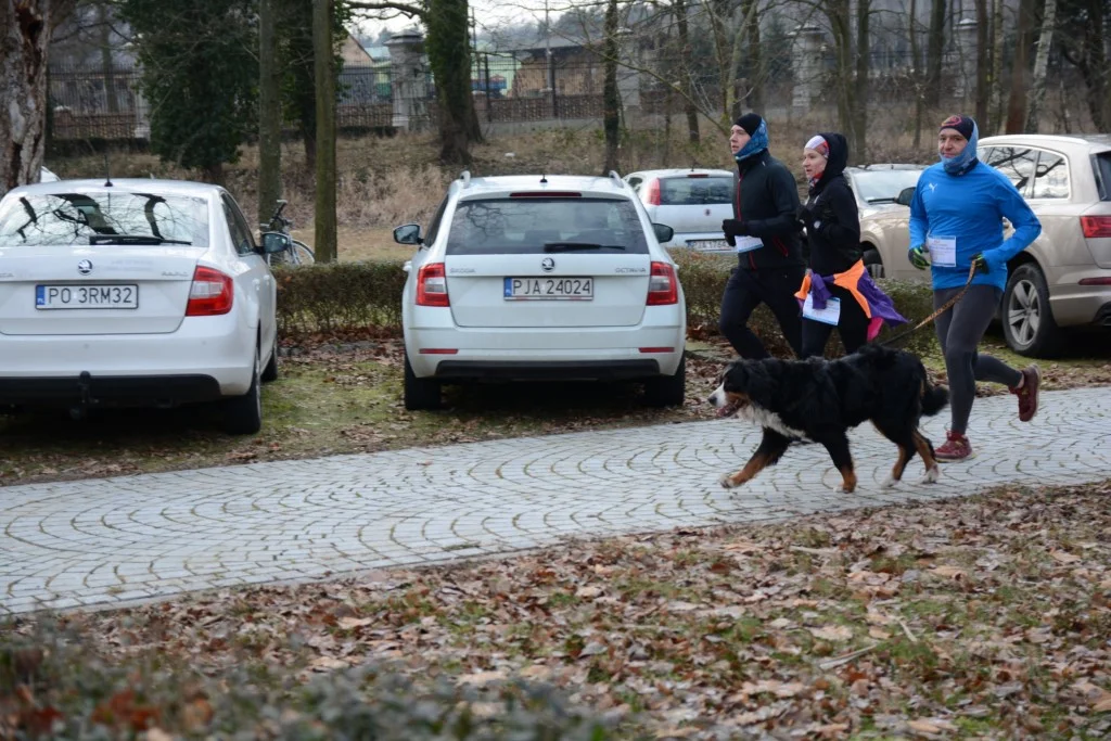 Bieg i impreza charytatywna dla Antosia i Wojtusia w Tarcach