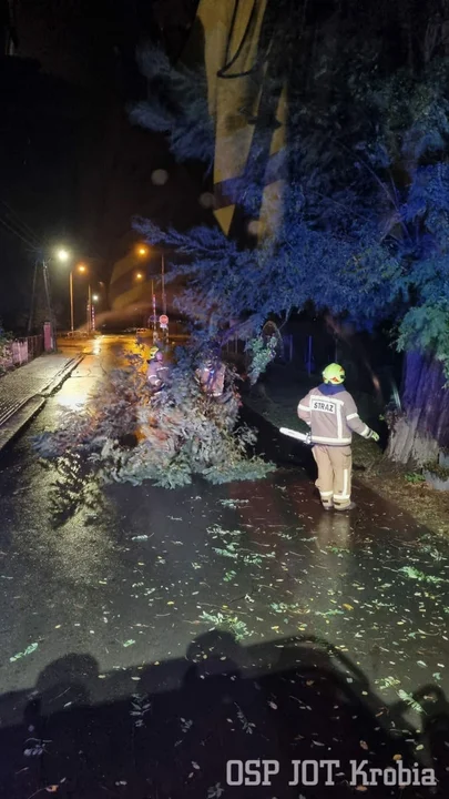 Porywisty wiatr narobił szkód w powiecie gostyńskim.