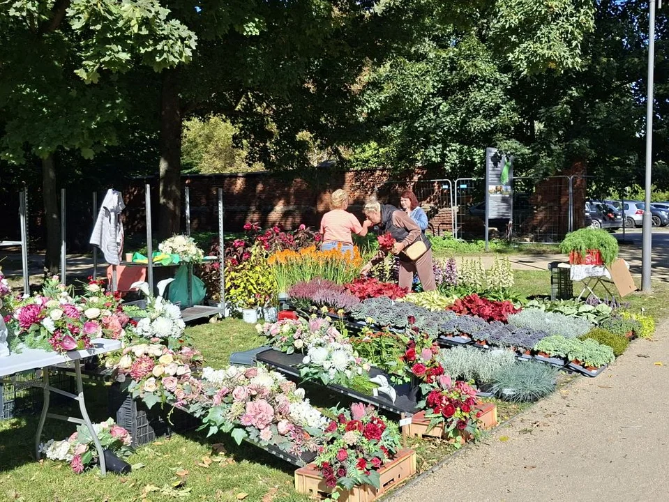 Festiwal Roślin Ogrodowych w Jarocinie