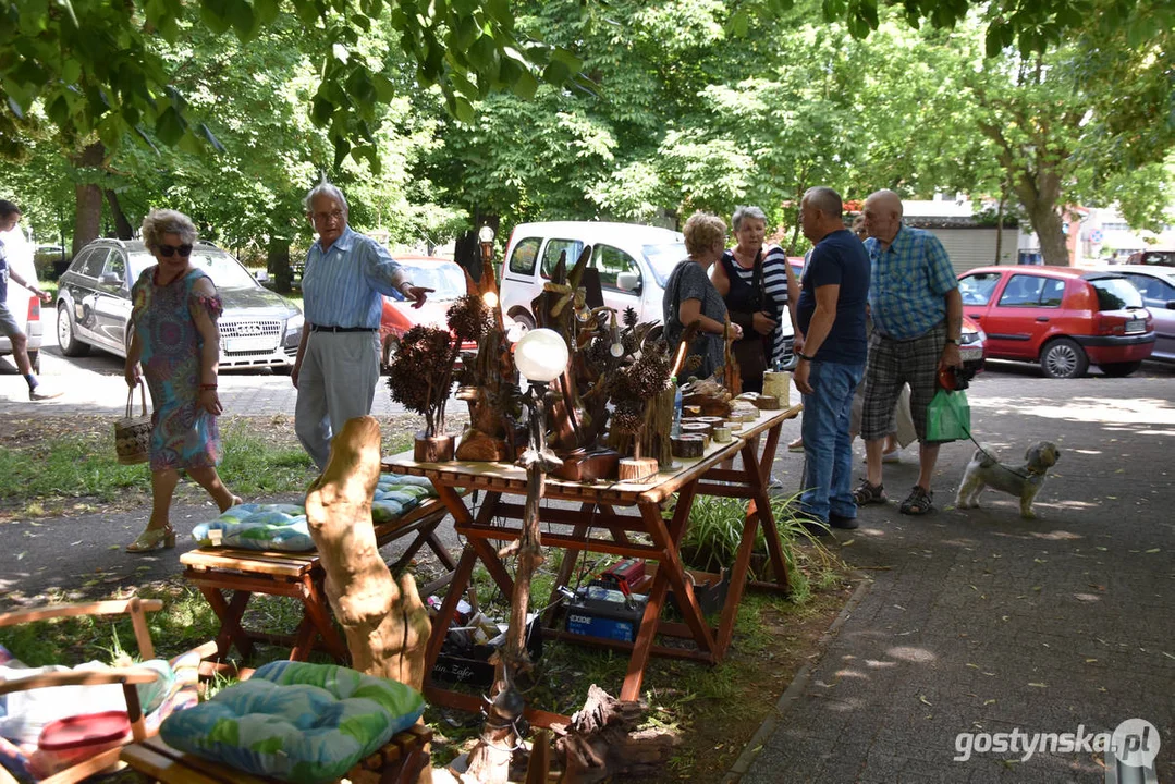 II Kulturalny Piknik na Plantach w Gostyniu