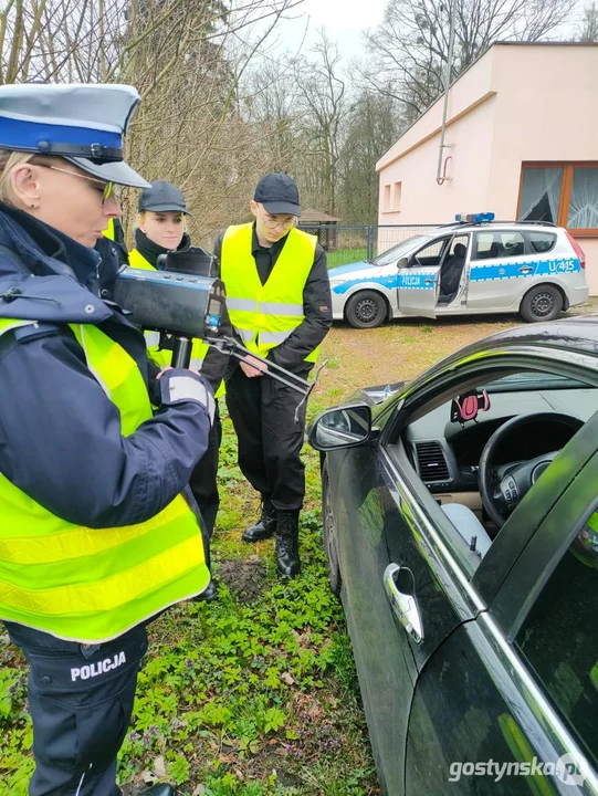 Cytryna za pouczenie- nietypowa akcja prędkość