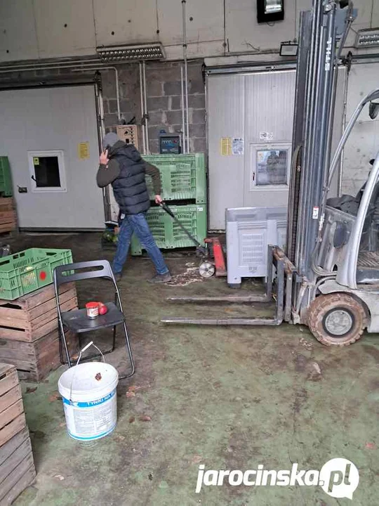 Pana z Jabłkami w Jarocinie kojarzą wszyscy. Zajrzeliśmy do jego sadu w Grójcu