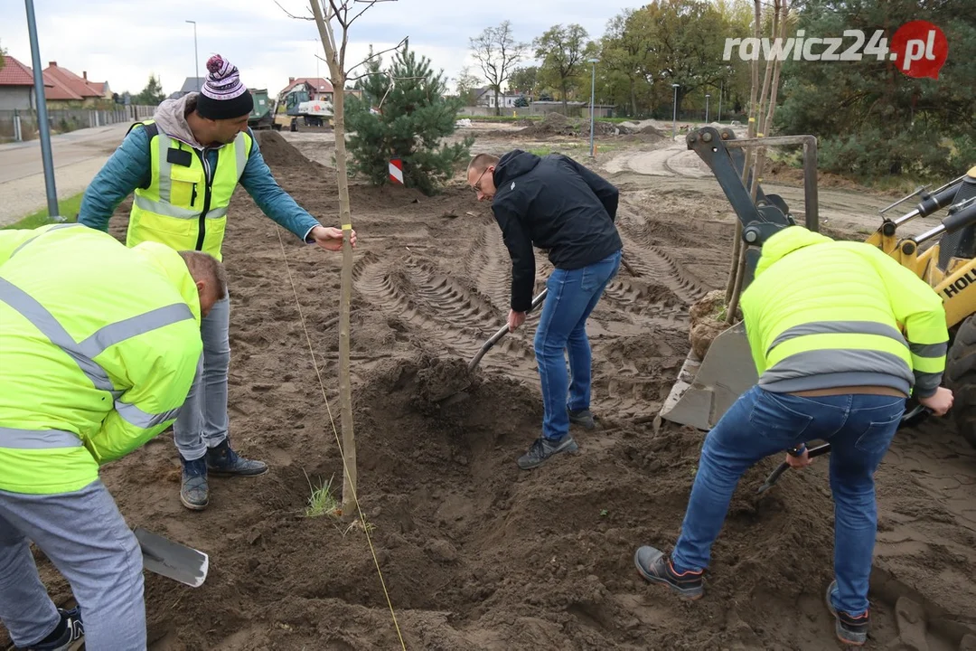 Nowe nasadzenia na poligonie