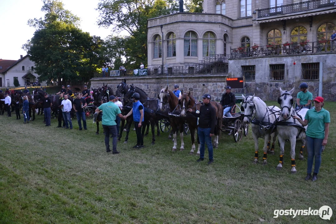 Rokosowo Horse Show 20224 - Konie i Powozy na Zamku Wielkopolskim w Rokosowie