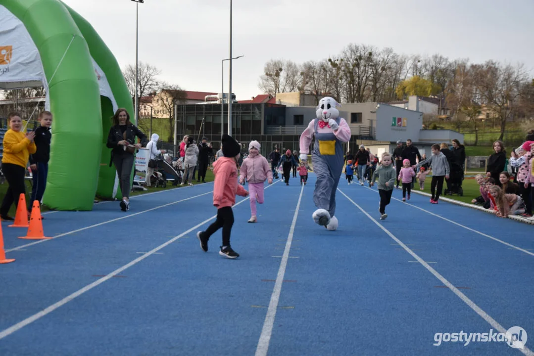 II Bieg Zająca w Gostyniu - Wielkanoc 2024