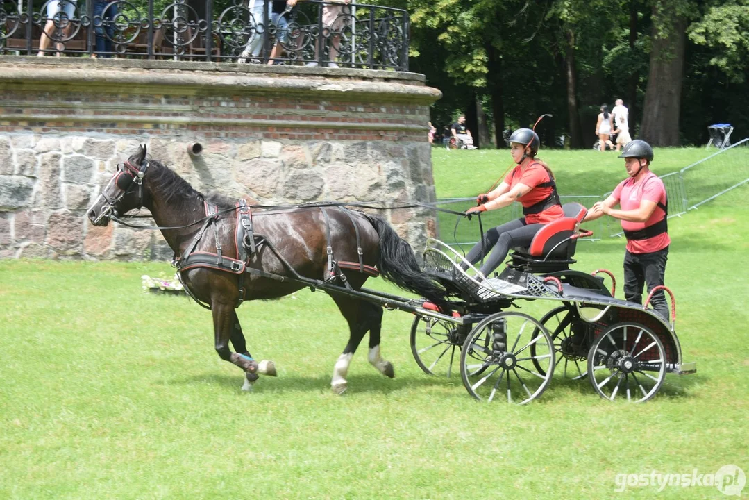 Rokosowo Horse Show 2024 - dzień pierwszy