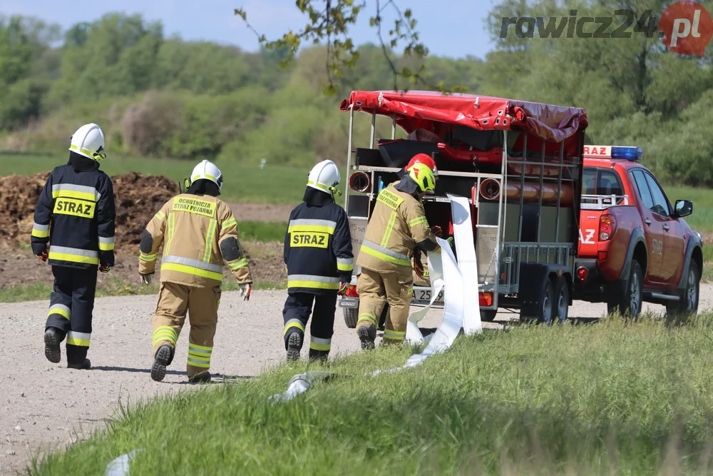 Pożar w lesie pomiędzy Zieloną Wsią a Dębnem Polskim