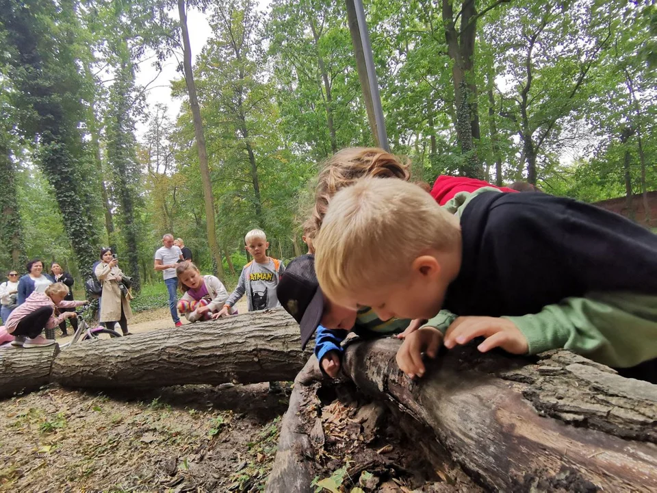 Zobacz, jak było na spacerze ornitologicznym i wybierz się na kolejny