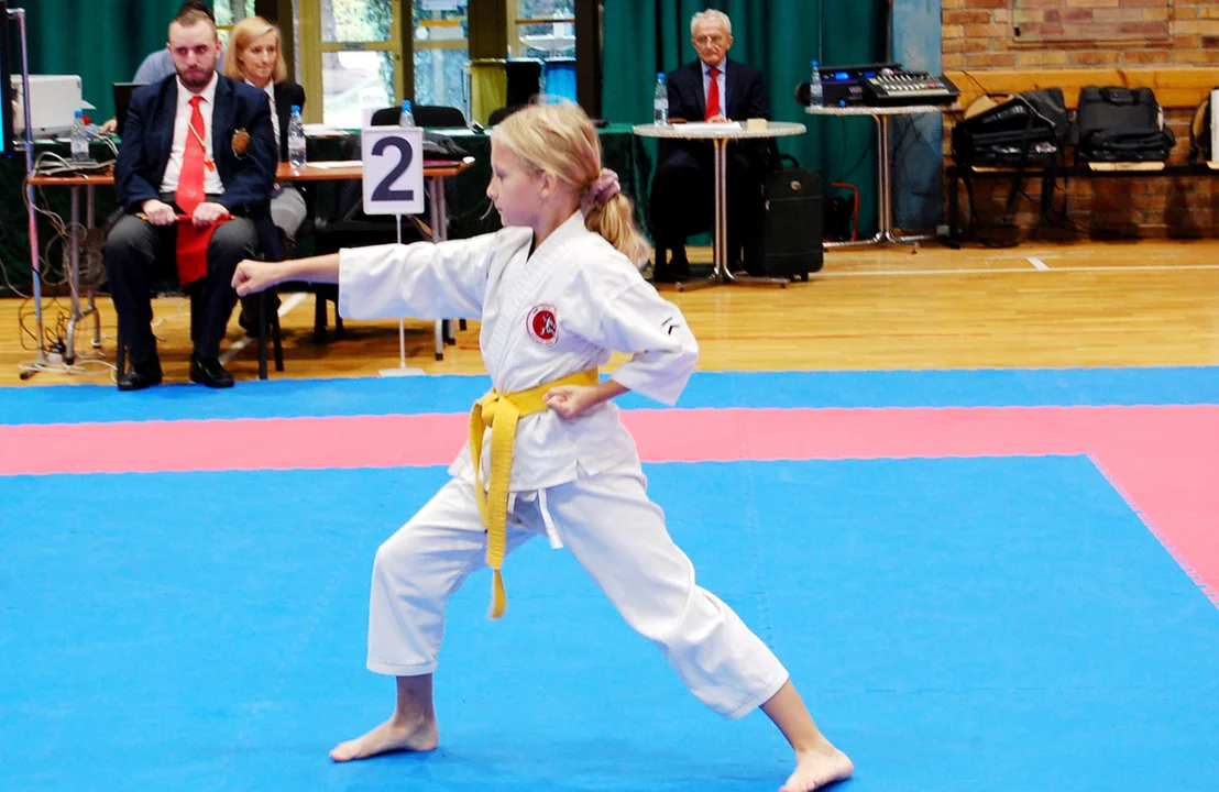 LION KARATE OPEN – XXXI Mistrzostwa Ziemi Legnickiej