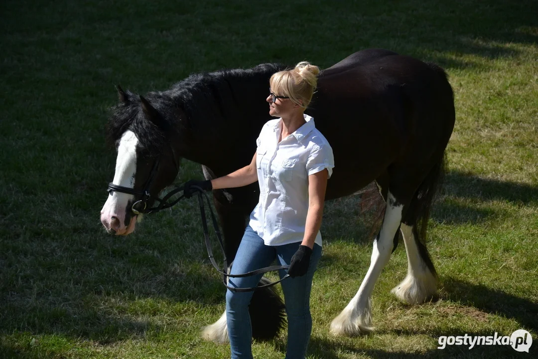 Rokosowo Horse Show 20224 - Konie i Powozy na Zamku Wielkopolskim w Rokosowie