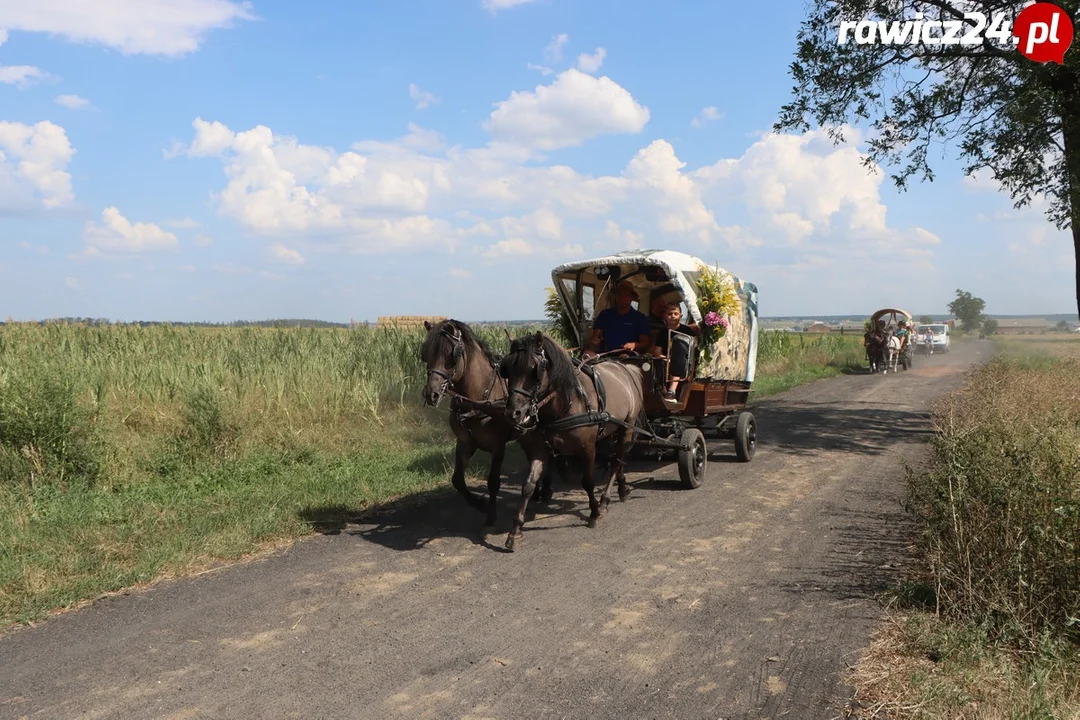 Rajd Konny Śladami Rodziny Czartoryskich