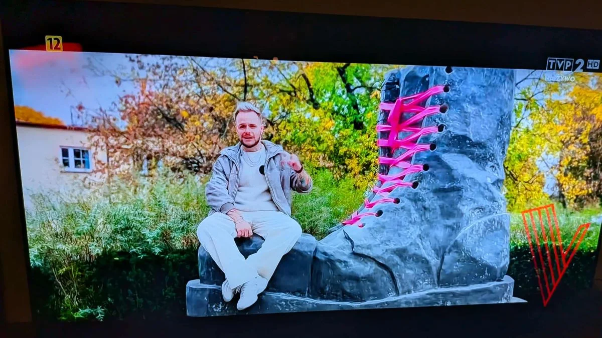 Filip Mettler w pierwszym odcinku The Voice of Poland