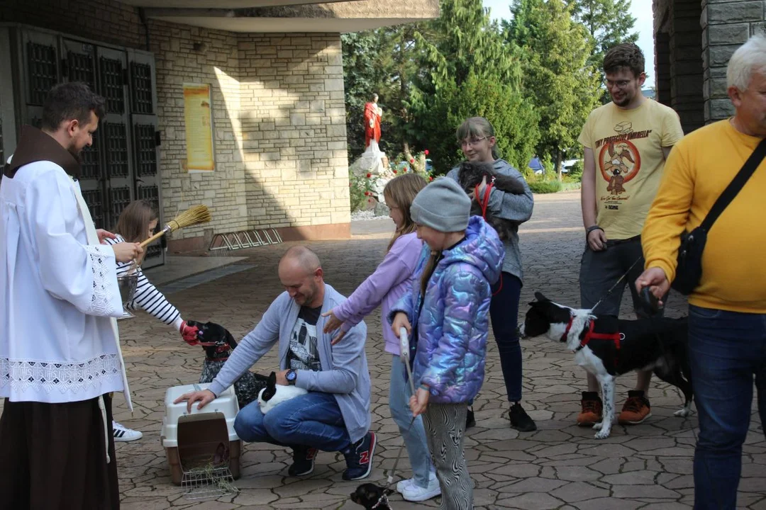 U franciszkanów w Jarocinie z okazji odpustu błogosławiono zwierzęta