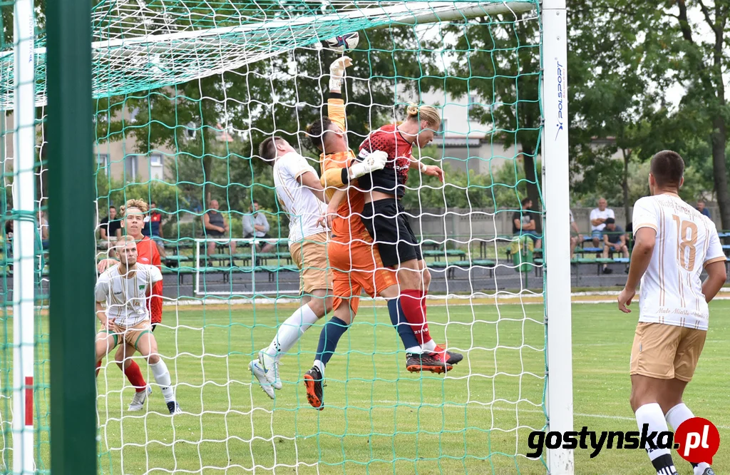 Wisła Borek Wielkopolski - Lider Swarzędz 2 : 0