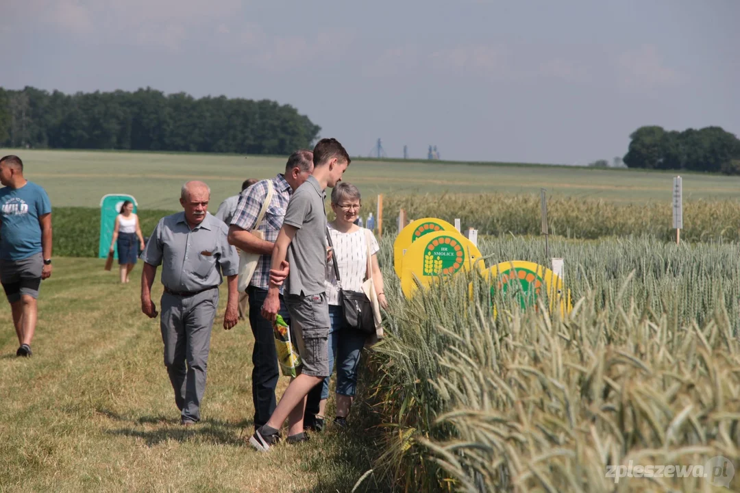 Trwają Marszewskie Dni Pola 2023 [ZDJĘCIA, WIDEO] - Zdjęcie główne