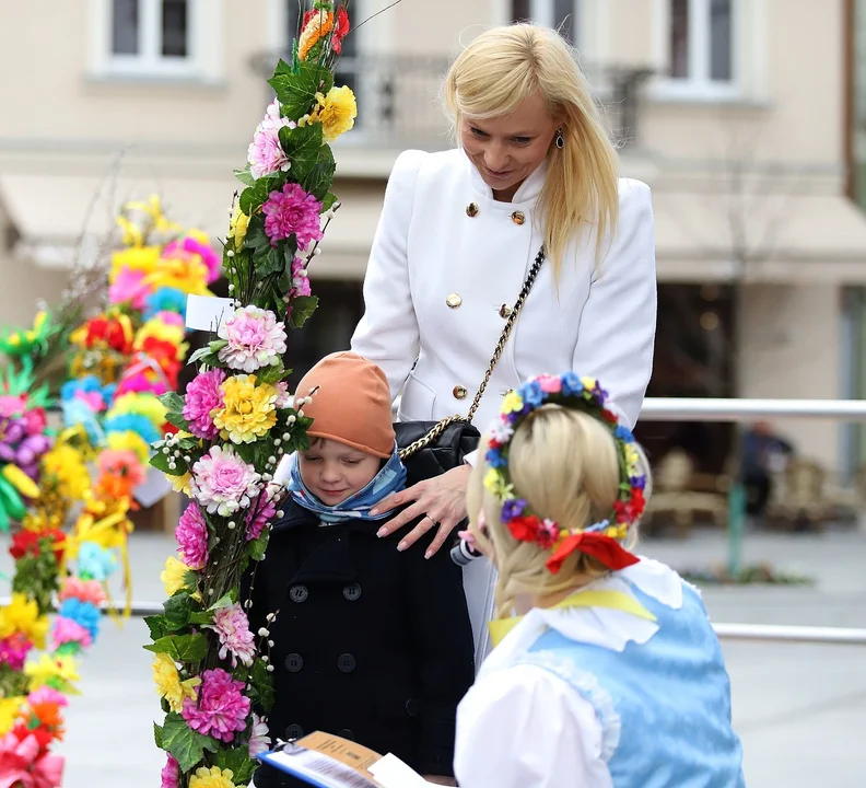 Najdłuższe palmy miały ponad 3 metry