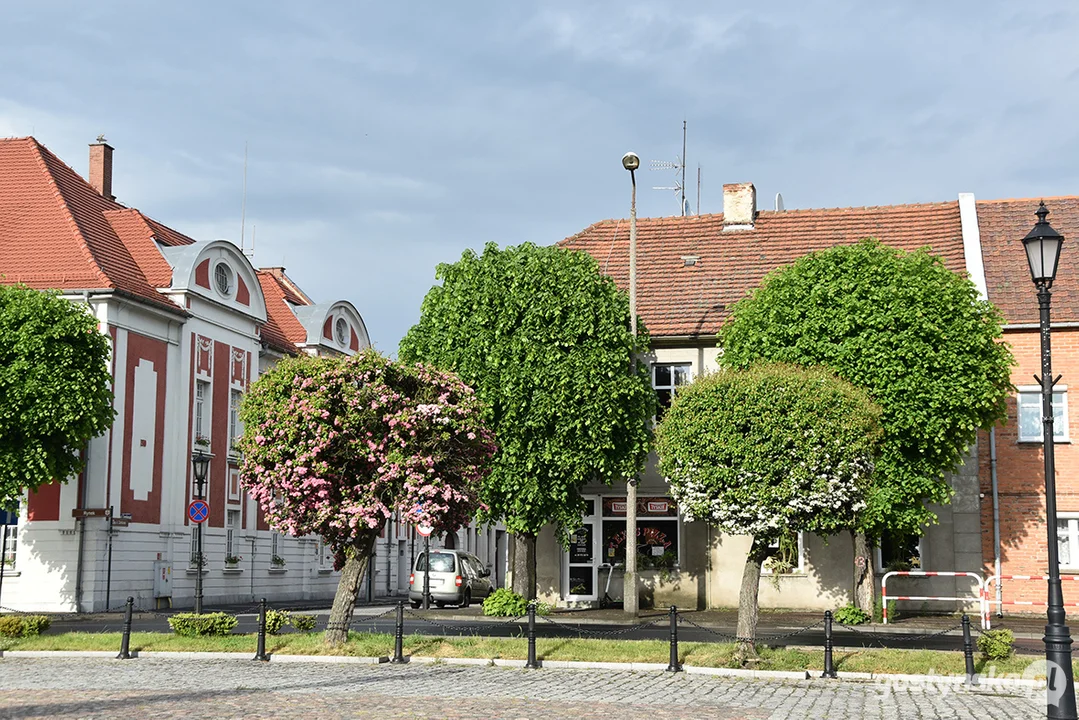 Drucker’s Hotel / Hotel Pod Białym Orłem