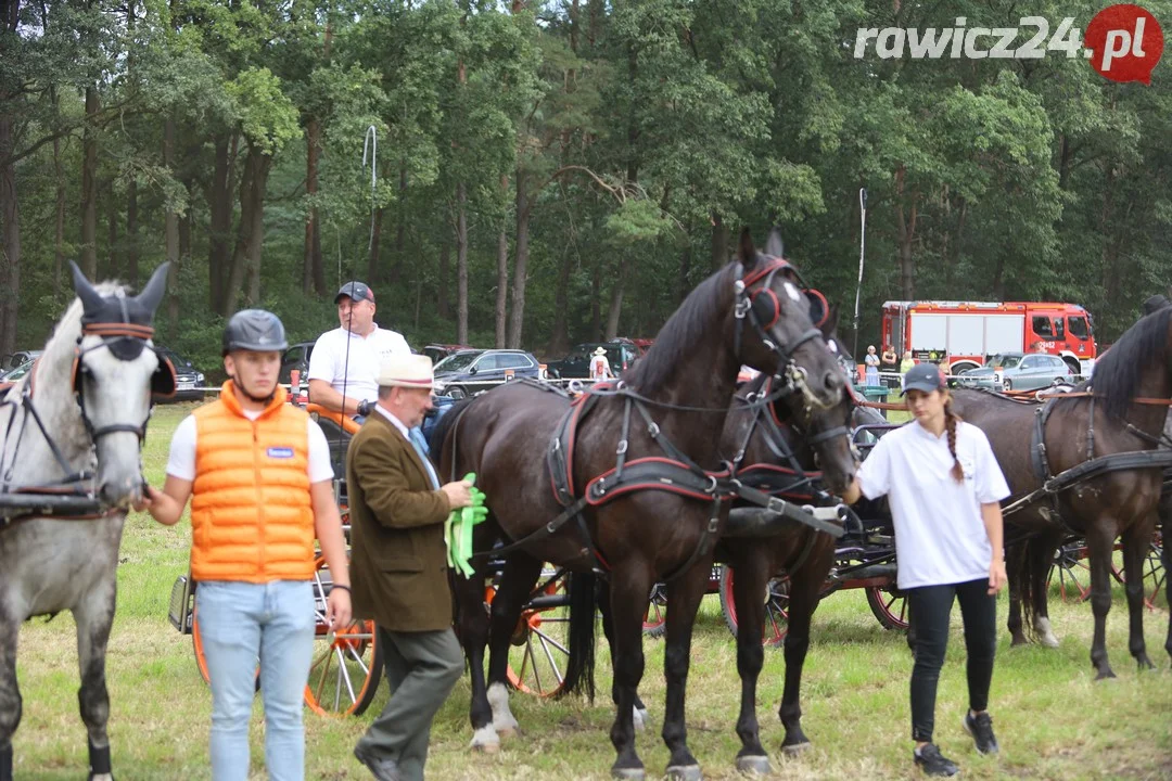 Zawody konne w Pakosławiu