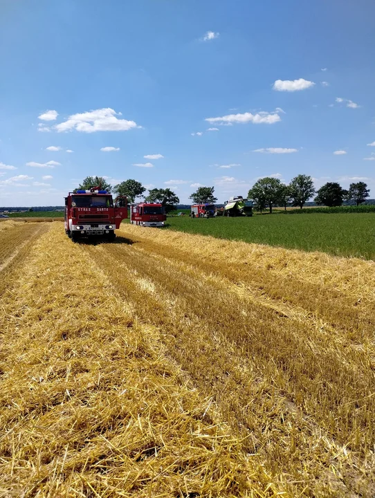 Pożar zboża na Głogówku i innych miejscowościach powiatu gostyńskiego