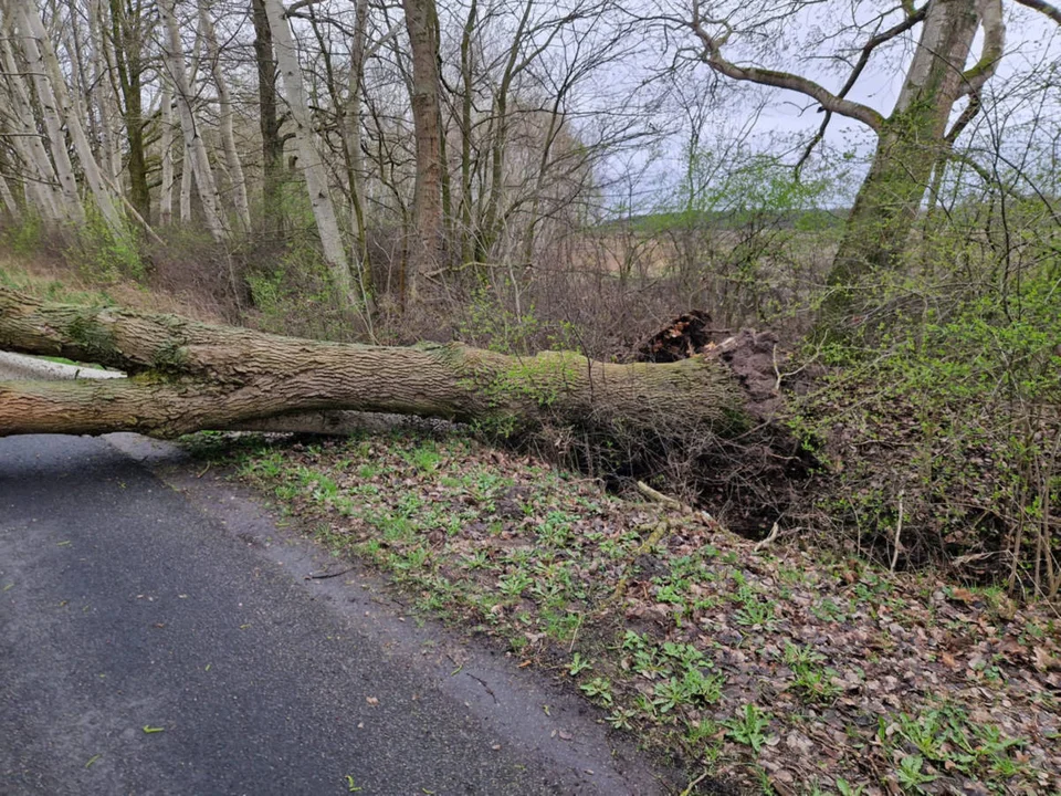 Silny wiatr spowodował szkody w powiecie gostyńskim