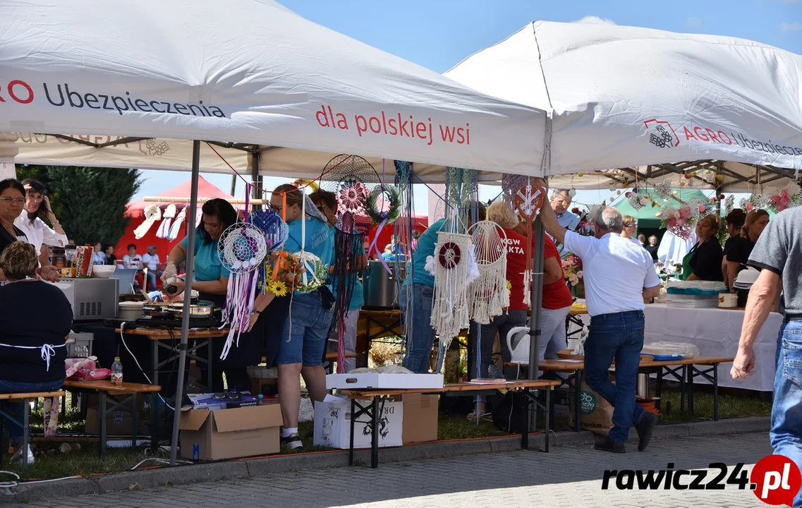 Piknik w Pakosławiu