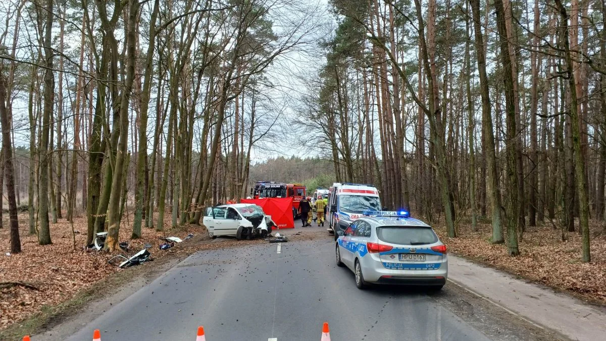 Auto uderzyło w drzewo na drodze Golina - Zakrzew. Trwa reanimacja osoby poszkodowanej - Zdjęcie główne