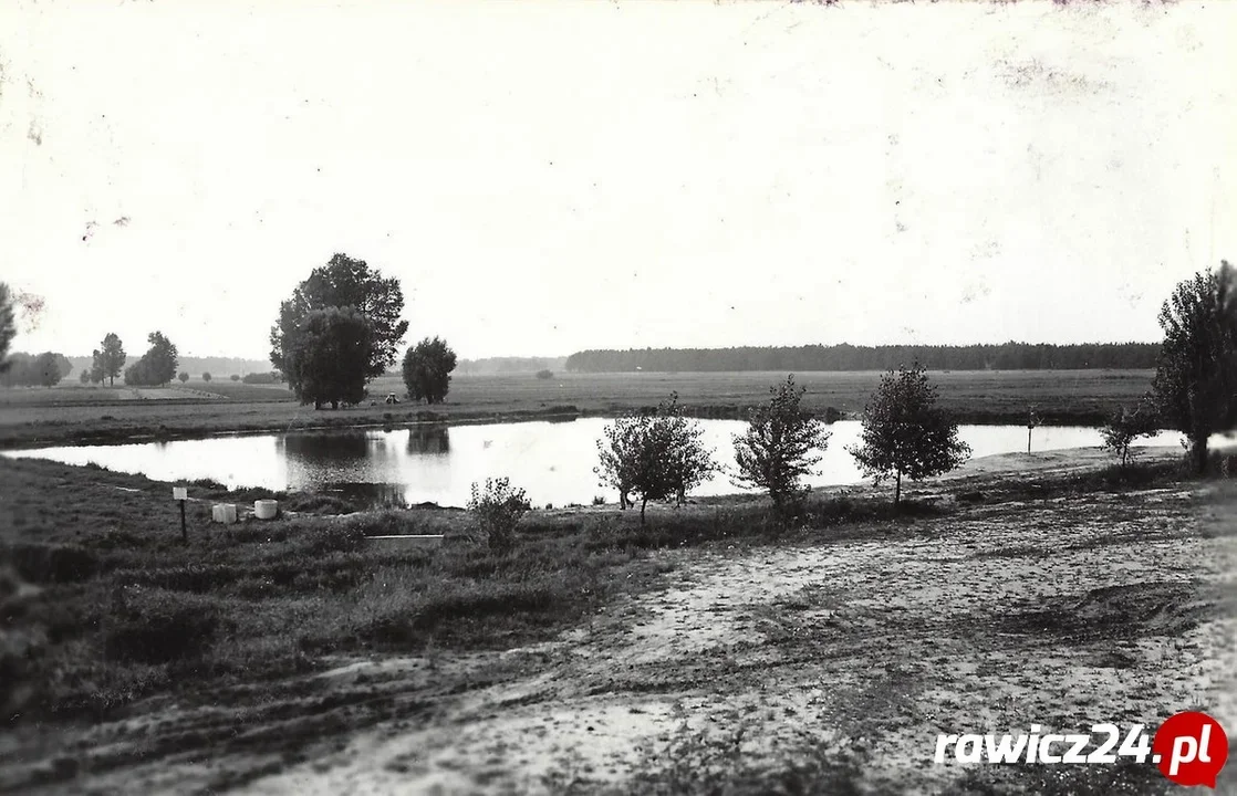 Zbiornik "Balaton" w Miejskiej Górce