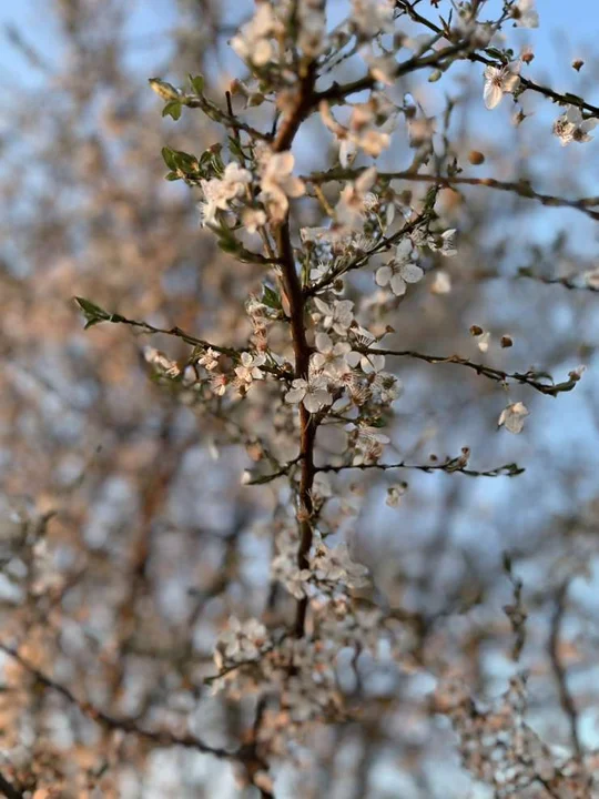 Powiatowy Konkurs Fotograficzny „Cztery Pory Roku”