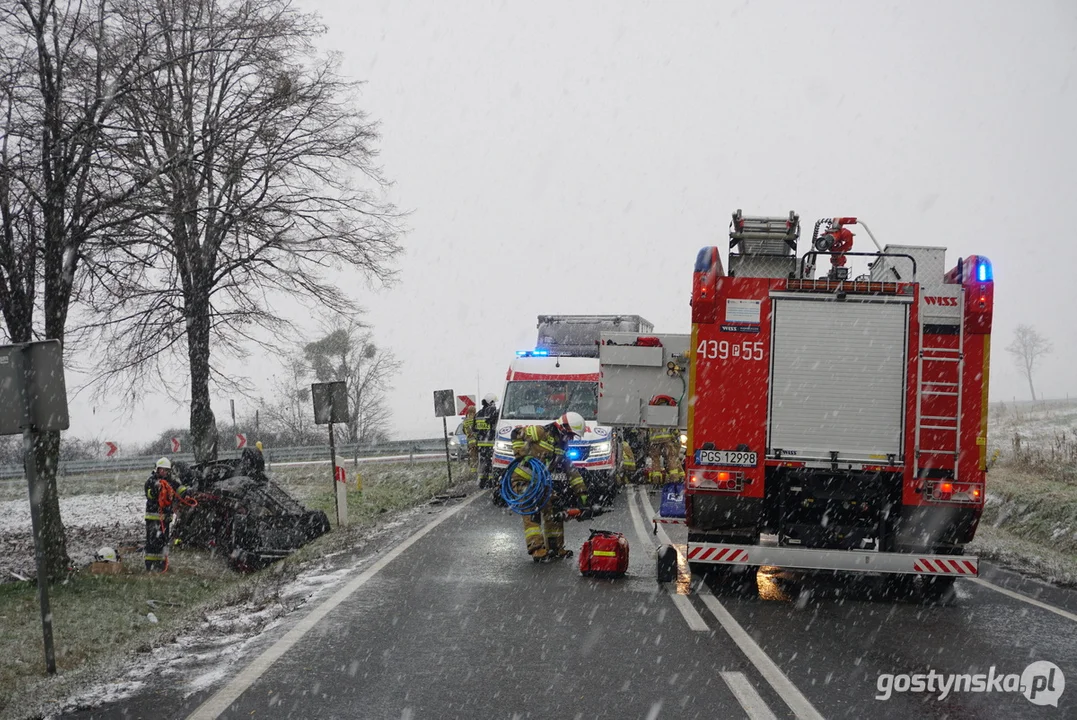 Śmiertelny wypadek na DK 12 w Dąbrówce