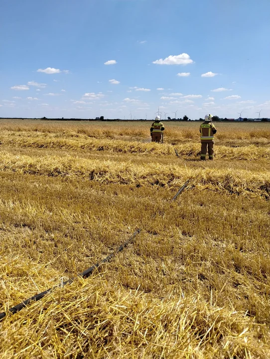 Pożar zboża na Głogówku i innych miejscowościach powiatu gostyńskiego