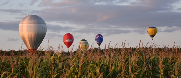 Balony ubarwiły niebo. Skąd się wzięły? - Zdjęcie główne