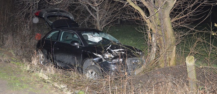 Poniosło go na nieznanej trasie. Roztrzaskał auto na drzewie i zgubił psa - Zdjęcie główne