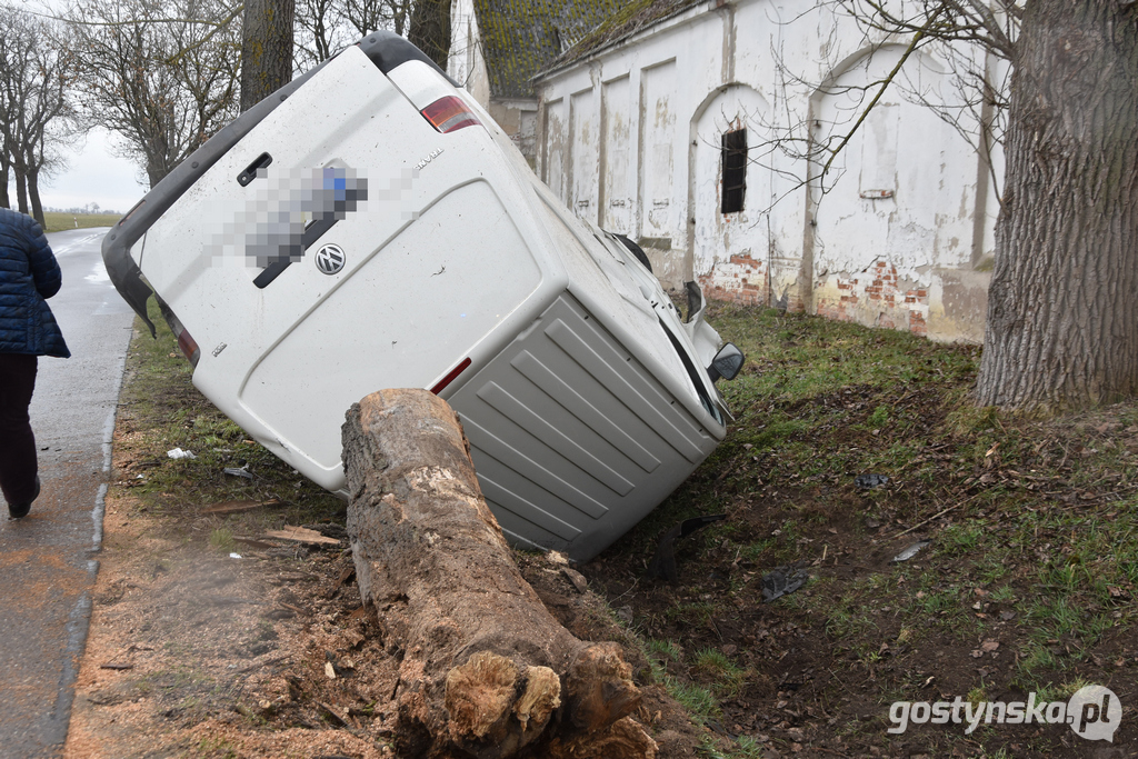 Czajkowo (gm. Gostyń). Mężczyzna na łuku drogi Gostyń - Poniec nie zapanował nad kierownicą auta i uderzył w drzewo