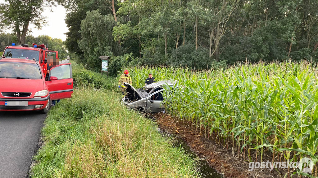 Poniec. Kolizja na drodze powiatowej Poniec-Gostyń, na wyjeździe z Drzewiec w kierunku Śmiłowa