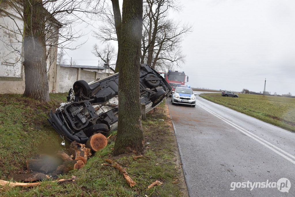 Czajkowo (gm. Gostyń). Mężczyzna na łuku drogi Gostyń - Poniec nie zapanował nad kierownicą auta i uderzył w drzewo