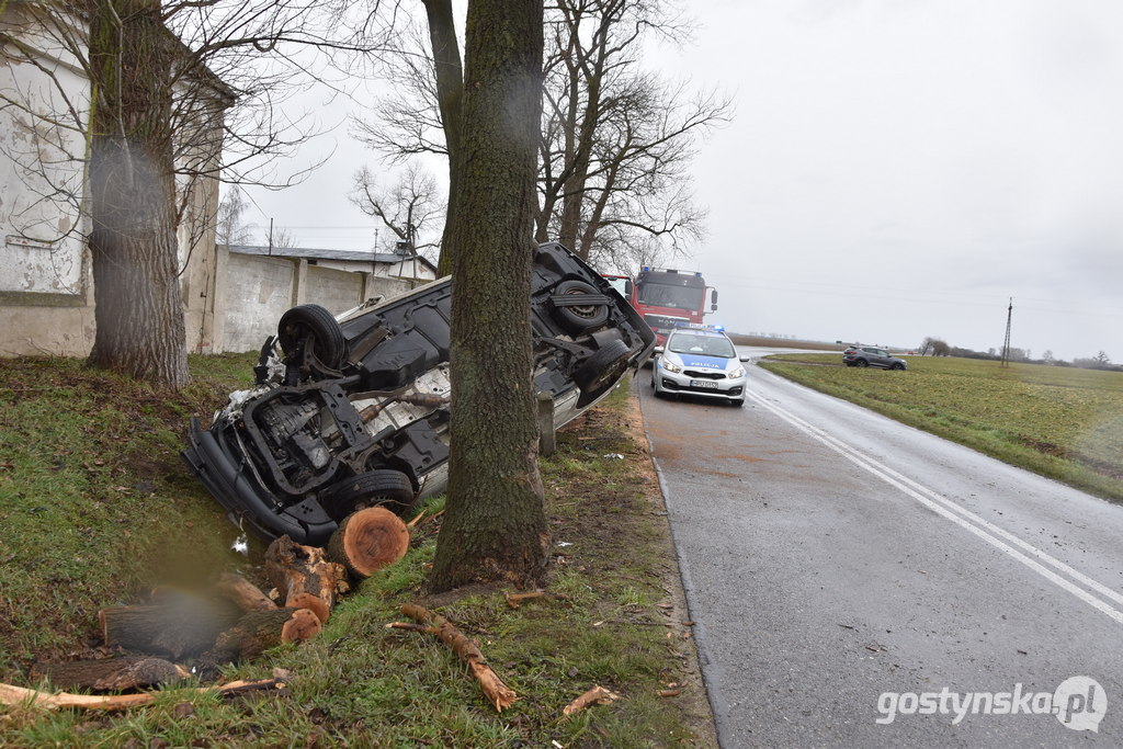 Czajkowo (gm. Gostyń). Mężczyzna na łuku drogi Gostyń - Poniec nie zapanował nad kierownicą auta i uderzył w drzewo