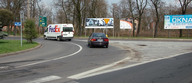 Feralne jest to skrzyżowanie!  - Zdjęcie główne