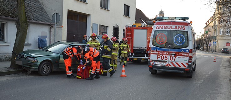 Osobówka na drzewie w centrum miasta - Zdjęcie główne