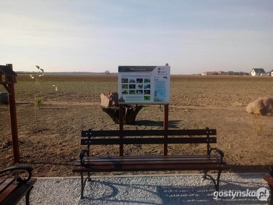 "Oaza Zieleni" zazieleni się na wiosnę