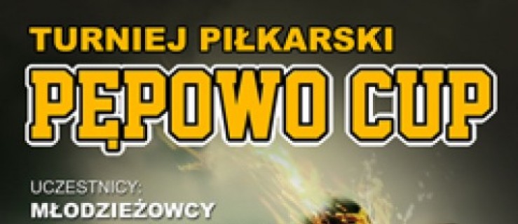 KS LUDWINOWO ZAPRASZA NA TURNIEJ - Zdjęcie główne