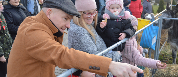 Gości finału witały alpaki, osiołki i "pies z dredami" - Zdjęcie główne