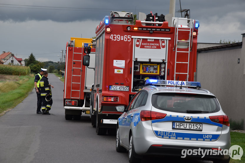 Piaski - Drzęczewo I.  Na drodze Drzęczewo I - Smogorzewo doszło do kolizji