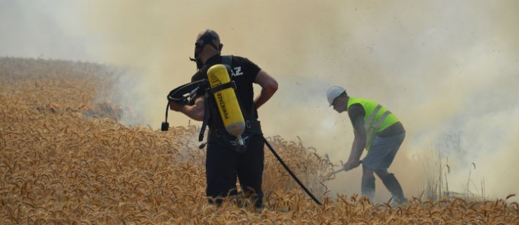 Olbrzymi pożar pustoszy pola. Strażacy starają się chronić las i stację paliw  - Zdjęcie główne