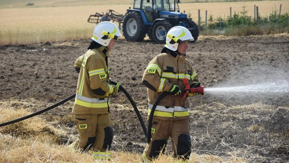 Pożar słomy po kombajnie w Bukownicy. Spłonęło około 1,5 hektara pola, w walce z ogniem pomogli sąsiedzi - Zdjęcie główne