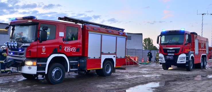 Koń ugrzązł w rowie. Potrzebna była pomoc weterynarza i strażaków - Zdjęcie główne