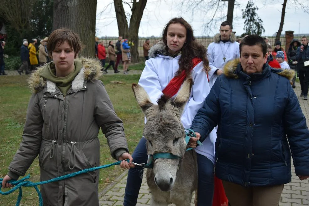 Procesja i poświęcenie palm w Niedzielę Palmową w parafii pw. Św. Trójcy w Chwałkowie - Zdjęcie główne