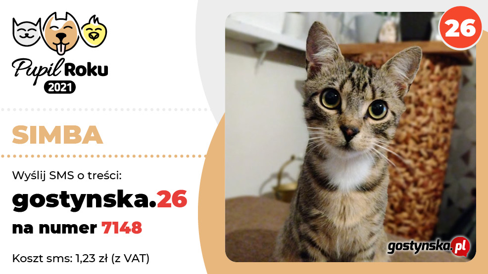 Simba to największy słodziak w mieście. Razem z Mieciem (nr 25) tworzą w jednym domu idealny i zgrany duet 