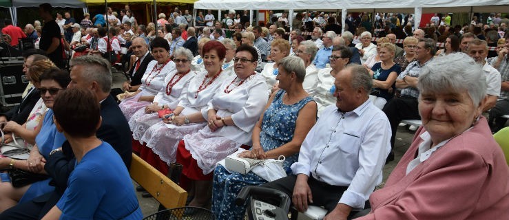 Dwudniowe uroczystości w parku miejskim - Zdjęcie główne